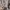Dickies Streetwear Fleece Pria gray photo 5