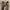 Timberland Vintage Boots Pria tan brown photo 1