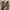 Timberland Vintage Boots Pria Tan Brown