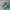 Adidas Casual Sneakers Pria Blue