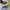 Adidas Casual Sneakers Pria blue photo 4