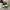 Adidas Casual Casual shoe Pria white black photo 4