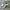 Adidas Casual Casual shoe Pria white black photo 1