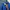 Champion Minimalist Hoody Pria blue photo 4