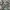 Adidas Y2K Sportswear Jersey Pria white black photo 1