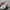 Asics Gorpcore Casual Casual shoe Pria white gray photo 4
