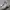 Asics Gorpcore Casual Casual shoe Pria white gray photo 5