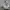 Asics Gorpcore Casual Casual shoe Pria white gray photo 1