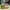 Nike Futurist Pria yellow photo 2