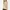 Japanese brand Fairy Coquette Shirt Wanita tan cream photo 4
