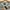 Obey Streetwear Sweater Pria gray photo 2
