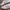 Adidas Casual Sneakers Wanita white pink photo 2
