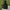 Dickies Gorpcore Windbreaker Pria black photo 1
