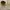 Carhartt Vintage Y2K Hoody Pria tan brown photo 5