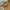 Carhartt Vintage Y2K Hoody Pria tan brown photo 3
