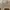 Carhartt Vintage Y2K Hoody Pria tan brown photo 6