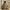 Carhartt Vintage Y2K Hoody Pria Tan Brown