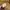 Carhartt Vintage Y2K Hoody Pria tan brown photo 8