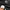 Streetwear Futurist Windbreaker Pria black photo 7
