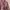 Coquette Batik Midi dress Wanita pink photo 1