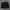 Uniqlo Vintage Streetwear Short Pria black photo 1