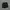 Under Armour Sportswear Short Pria Black