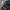 Under Armour Sportswear Short Pria black photo 3