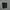 Under Armour Sportswear Short Pria black photo 2