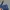Beanpole Vintage Sportswear Short Pria blue photo 7