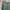 Streetwear Casual Windbreaker Wanita green photo 2
