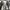 VANS Streetwear Sneakers Pria black photo 5