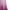 Japanese brand Fairy Coquette Skirt Wanita purple white photo 3