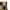 Japanese brand Vintage Y2K Skirt Wanita tan yellow photo 2