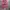 Keith Haring Y2K Futurist Casual trouser Wanita white pink photo 1