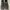 Rotelli Casual Sneakers Wanita Gray