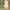Japanese brand Fairy Coquette Babydoll dress Wanita yellow photo 8