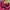 Sportswear Wanita pink photo 6