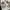 Nike Air Jordan Streetwear Sneakers Pria gray photo 3