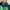 Casual Harrington jacket Pria green photo 5
