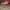 Nike Air Jordan Streetwear Sneakers Pria multicolor photo 3