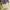 NEPA Sportswear Casual Windbreaker Pria white yellow photo 3