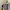 NEPA Sportswear Casual Windbreaker Pria white yellow photo 5