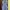 ZARA Streetwear Casual Bodycon dress Wanita blue photo 1