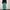 Levi's Streetwear Jeans Pria green navy photo 3