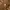 Carhartt Streetwear Casual Casual shirt Pria brown photo 4