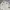Carhartt Vintage Y2K Puffer jacket Pria white cream photo 3