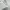 Uniform Bridge Vintage Y2K Track jacket Pria white cream photo 6