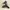 Converse Streetwear Casual Sneakers Kids green gray photo 3