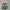 Nike Vintage Casual Sneakers Pria green photo 3