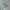 Nike Vintage Casual Sneakers Pria green photo 1